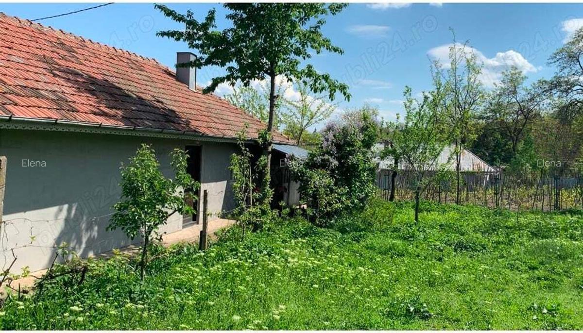 Casa cu teren 2100 metri - 1