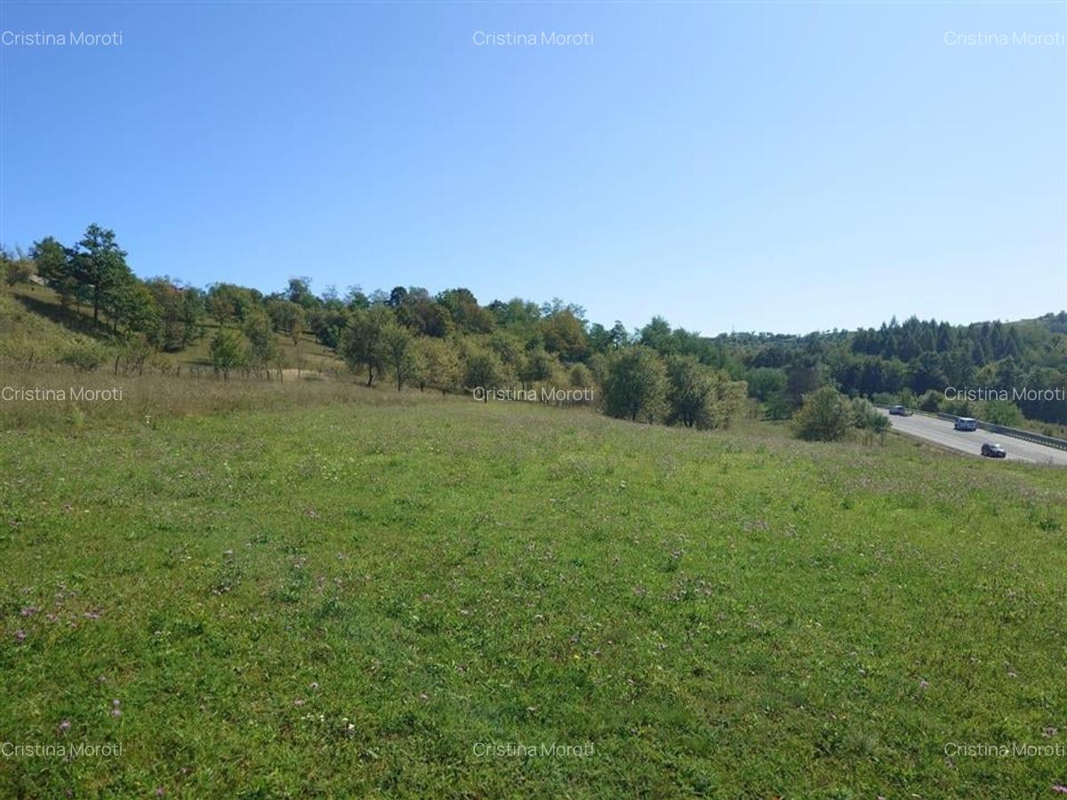 Teren intravilan 8757 mp cu potential turistic si acces direct la E79 - 2