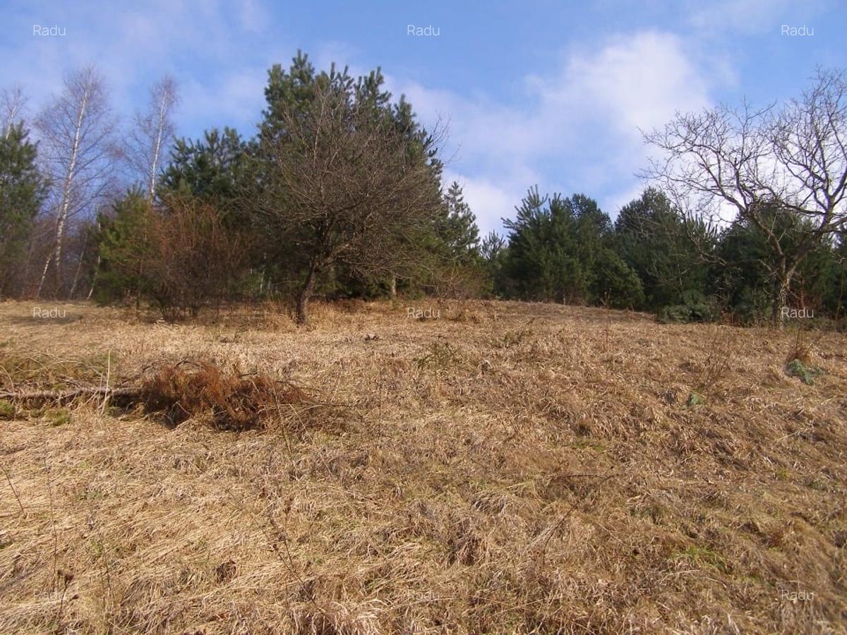 Tren intravilan si casa de lemn  in Brasov - 7