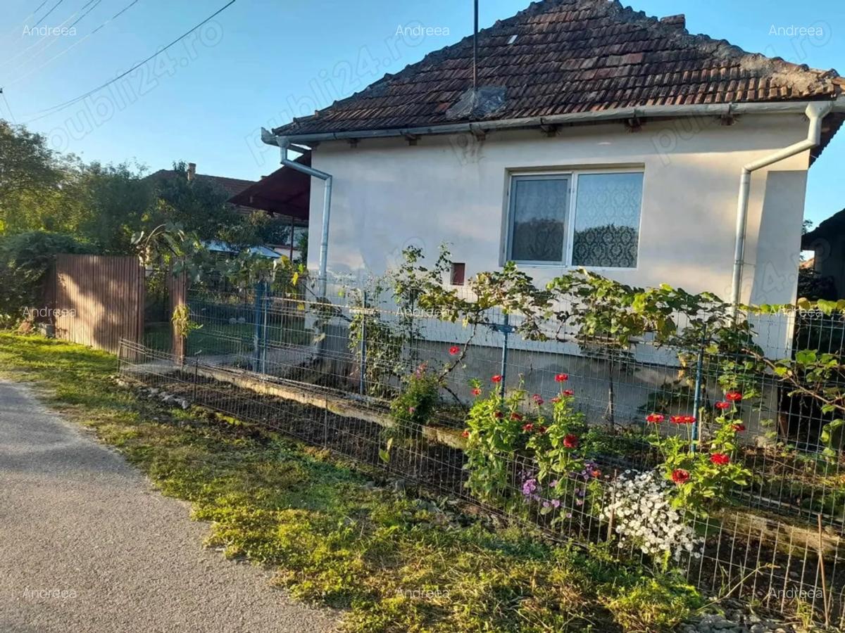 Casa de Vanzare Locuibila - 3