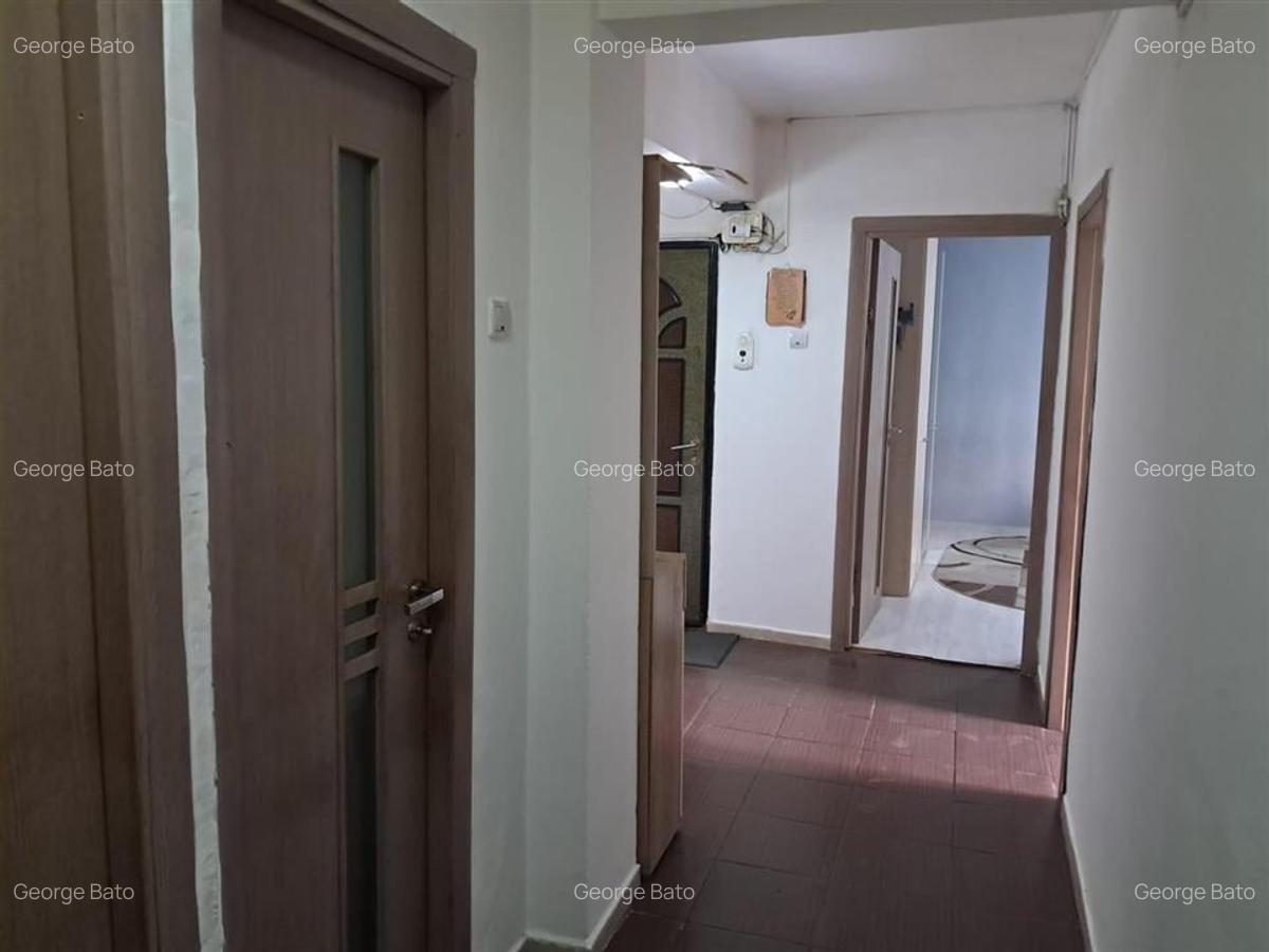 Apartament cu 3 camere decomandat în Nufărul - 11