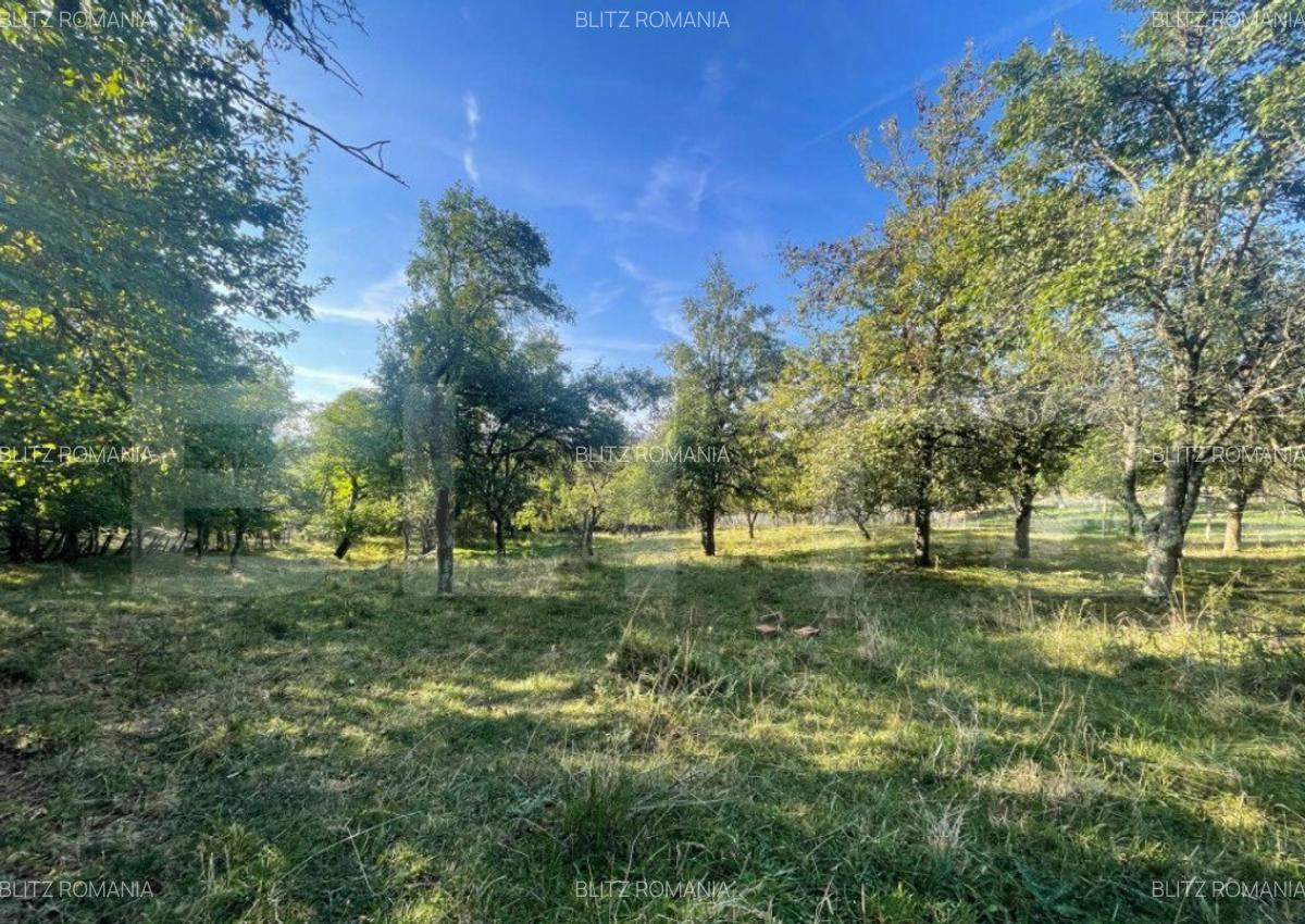 Casa de vanzare, 70 mp , teren de 3000 mp , Cacova Ierii - 7