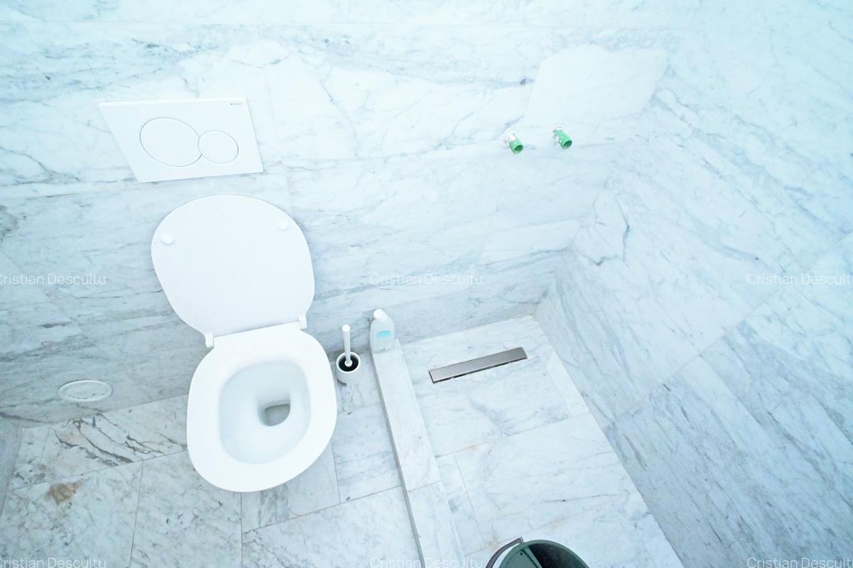 Parter Vila ~ Curte proprie ~ Amenajat Complet ~ Lângă parc Herastrau - 22