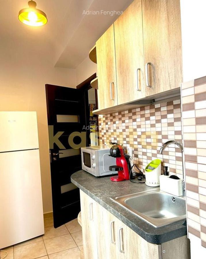 Apartament 2 camere de inchiriat Strada Coralilor zo... - 10