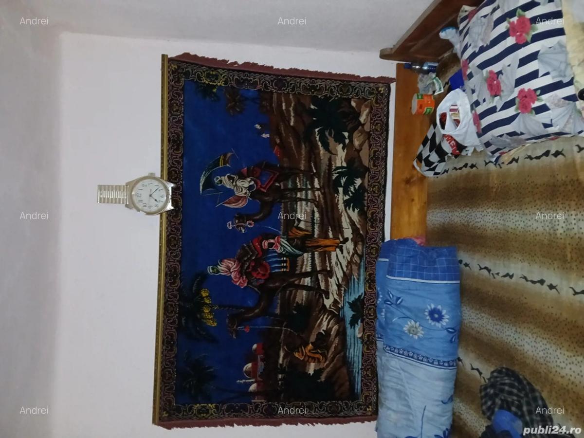 Casa de vanzare Calomfiresti - 4