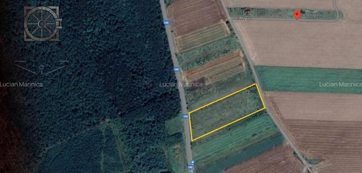 Teren 1016 Mp Acces Autostrada Soarelui - Branesti Ilfov- - 5