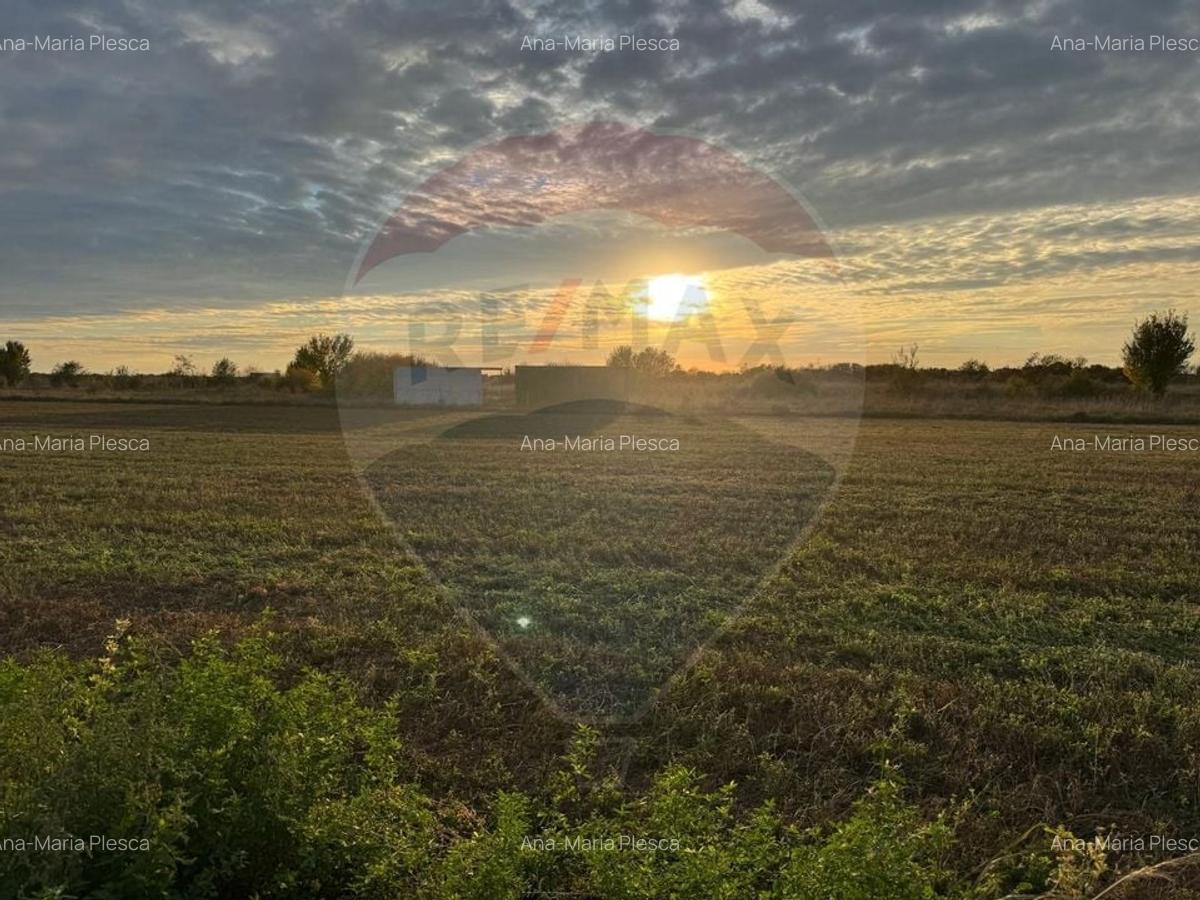 Teren 438mp in Bujac-Arad - 2