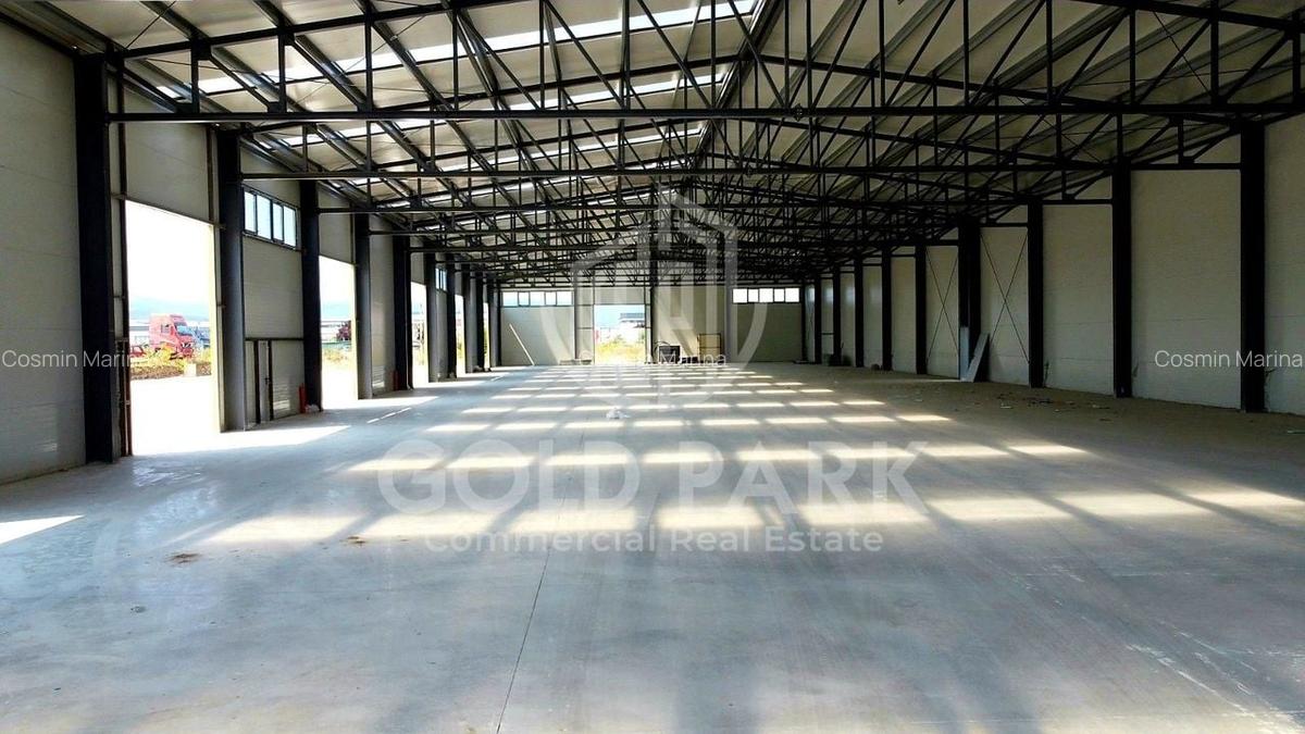 Spatiu Industrial-HALA NOUA/MODERNA-Zona Autostrazii- Curte Betonata - 10