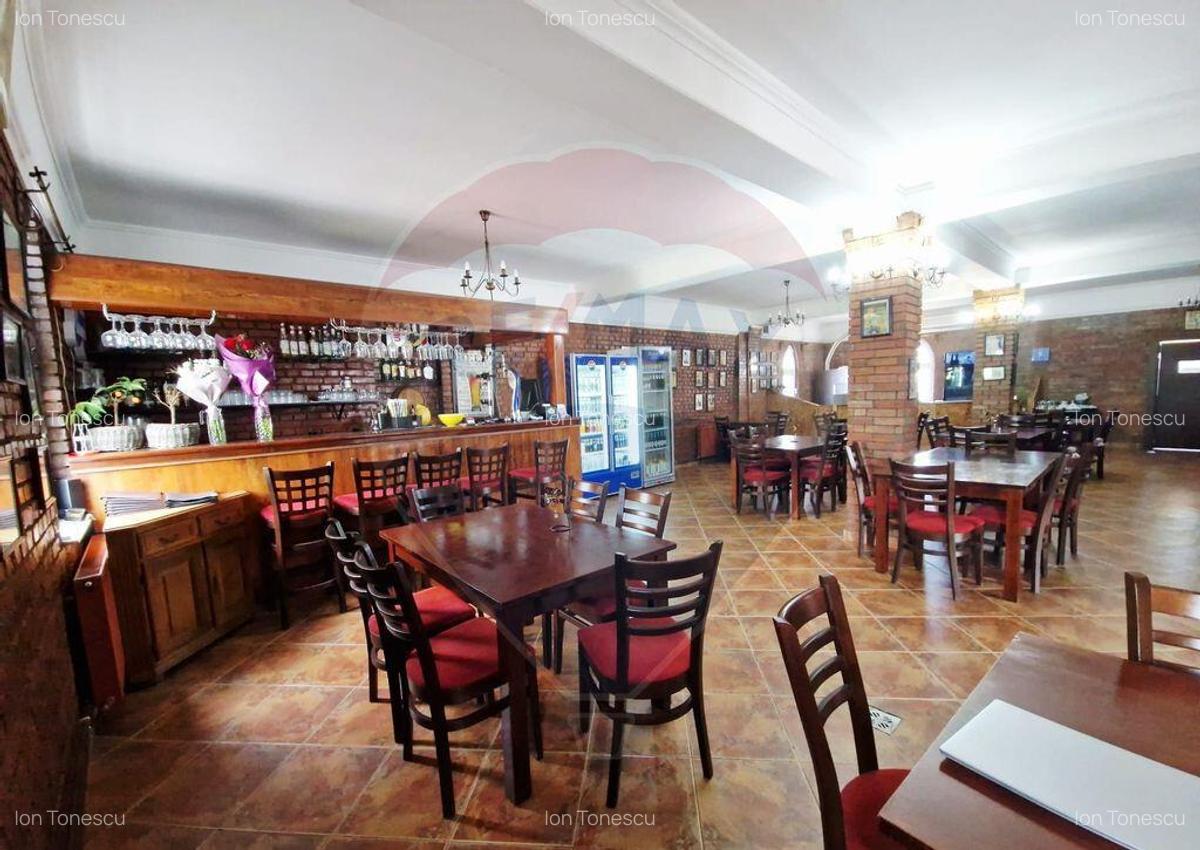 AFACERE DE VANZARE - RESTAURANTUL DON CHIRIAC - 2