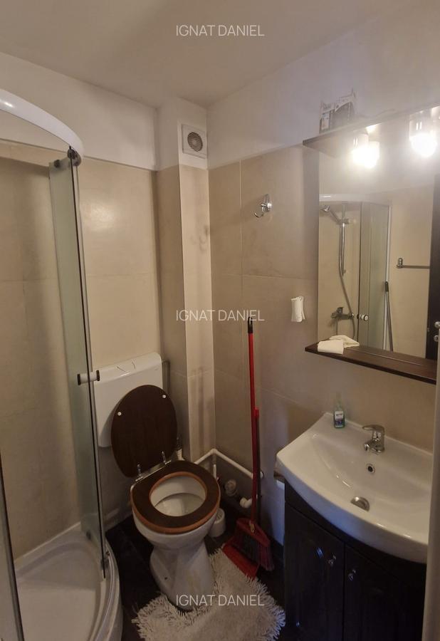 Apartament cu 1 camera, decomandat, zona Centru-Palas Campus - 6