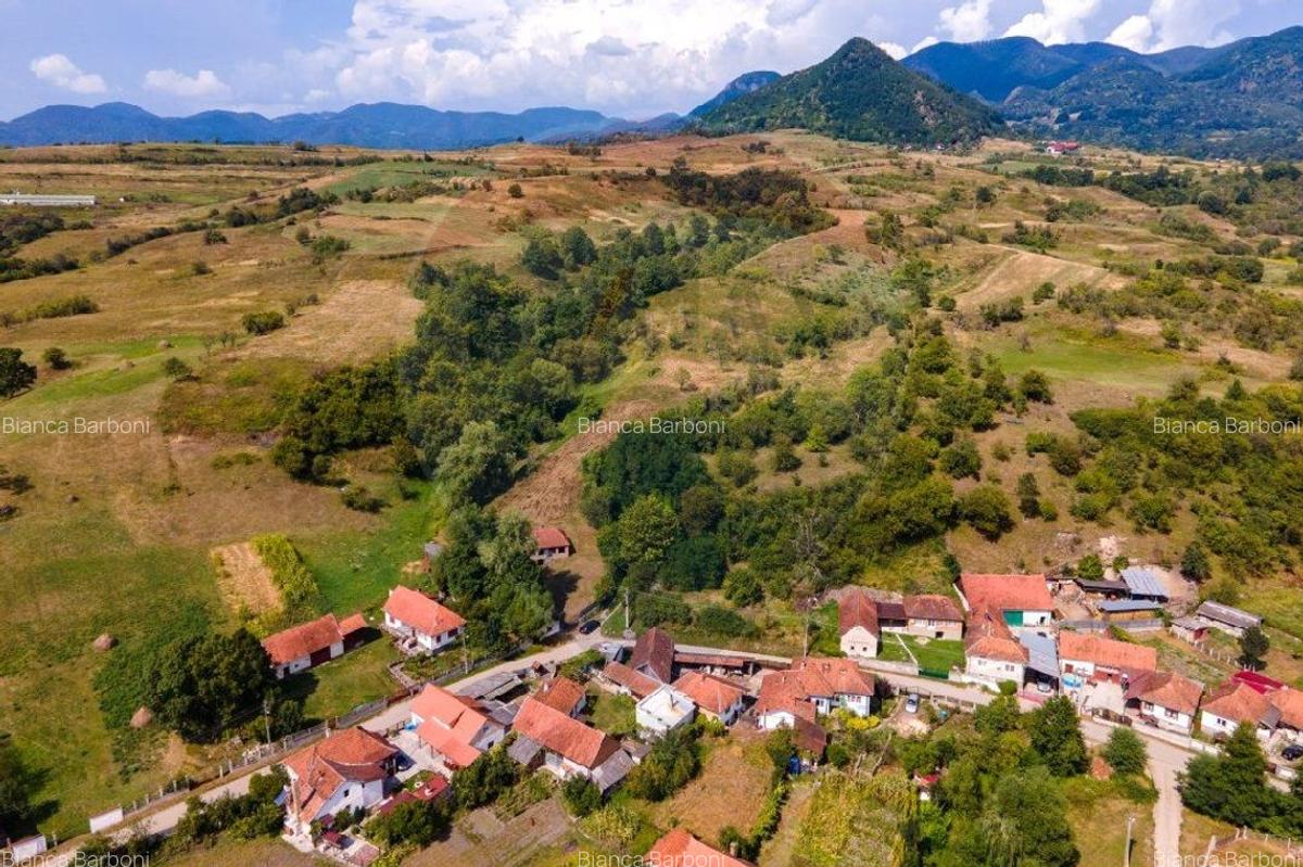 Casa veche cu teren ,Varmaga jud Hunedoara - 16