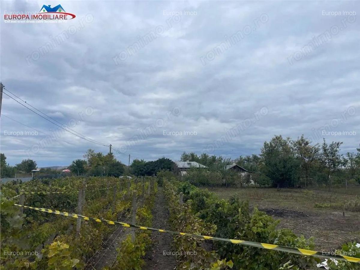Teren de vanzare in localitatea Iazurile judetul Tulcea - 8