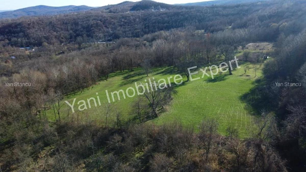 Teren 13.643 mp intravilan de vanzare in Curtea de Arge?. - 9