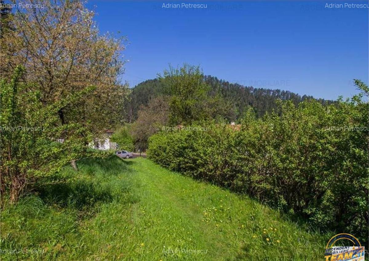 Resedinta distinctiva, pe domeniu de 2.200mp,cadru exclusivi - 9