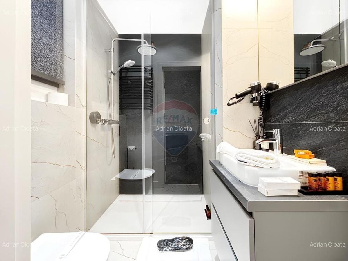 Vedere directa spre Piata Unirii, finisaje lux, apart. chirie, 97.6 mp - 14