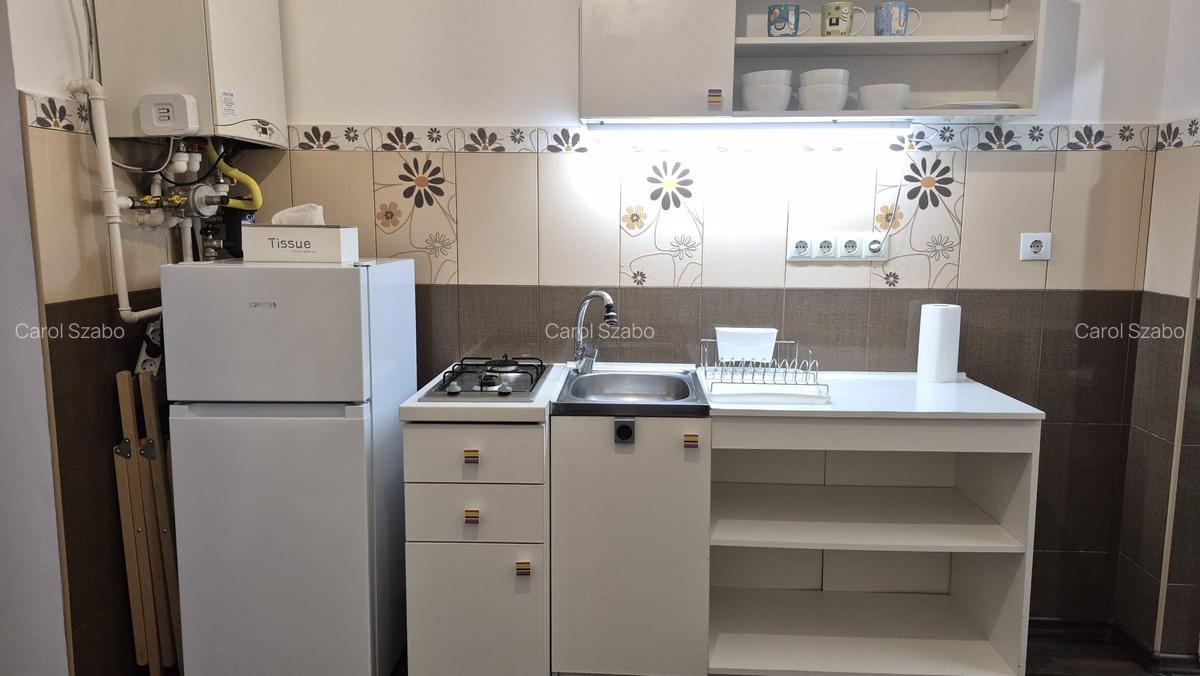 Garsoniera ultracentrala de închiriat - 3