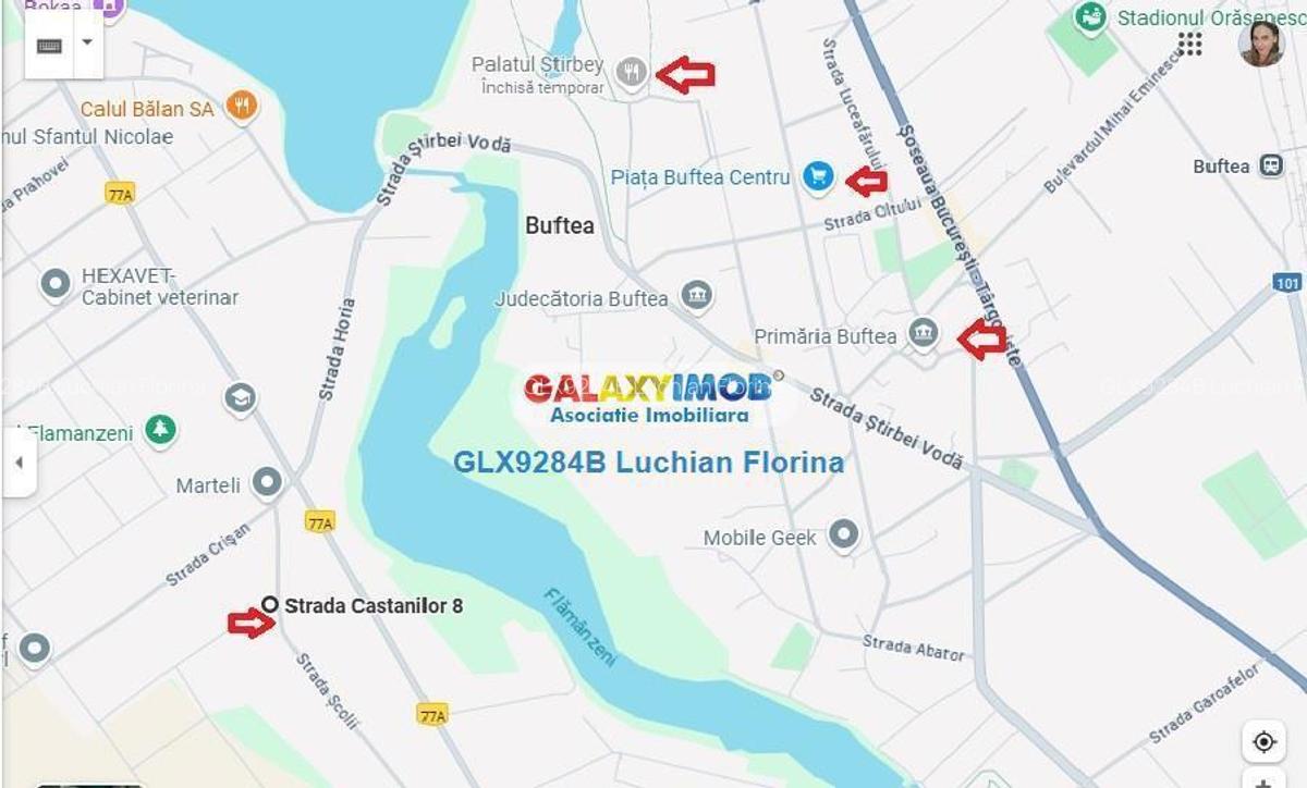 Vanzare teren 812mp, str.Castanilor I Buftea - 1