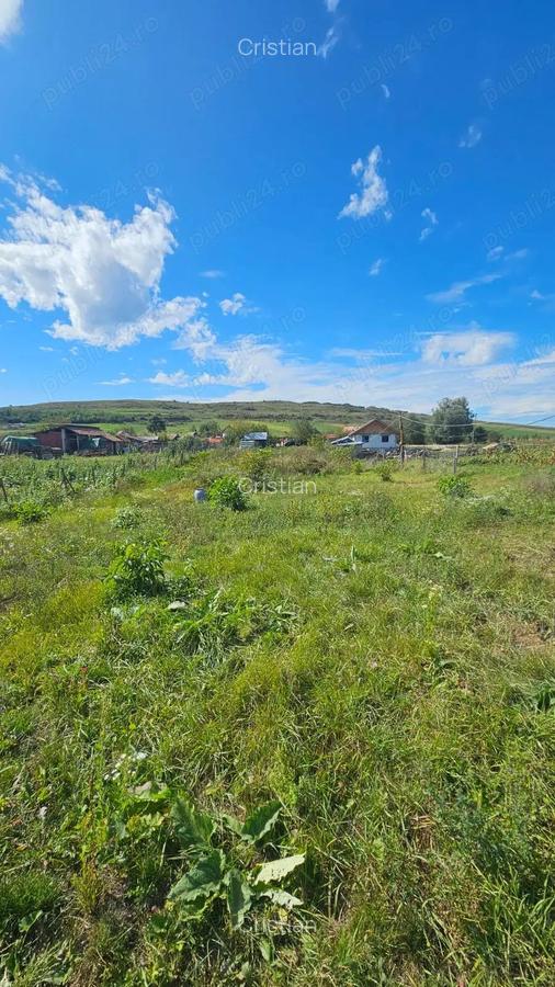 Persoana Fizica vand Teren Cluj - Borsa Catun - Intravilan 2300 mp - Extras CF - Cabana - Foisor - 7