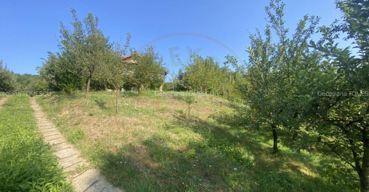 Casa ta de vis la 10 km de Mioveni. Comision 0% - 14