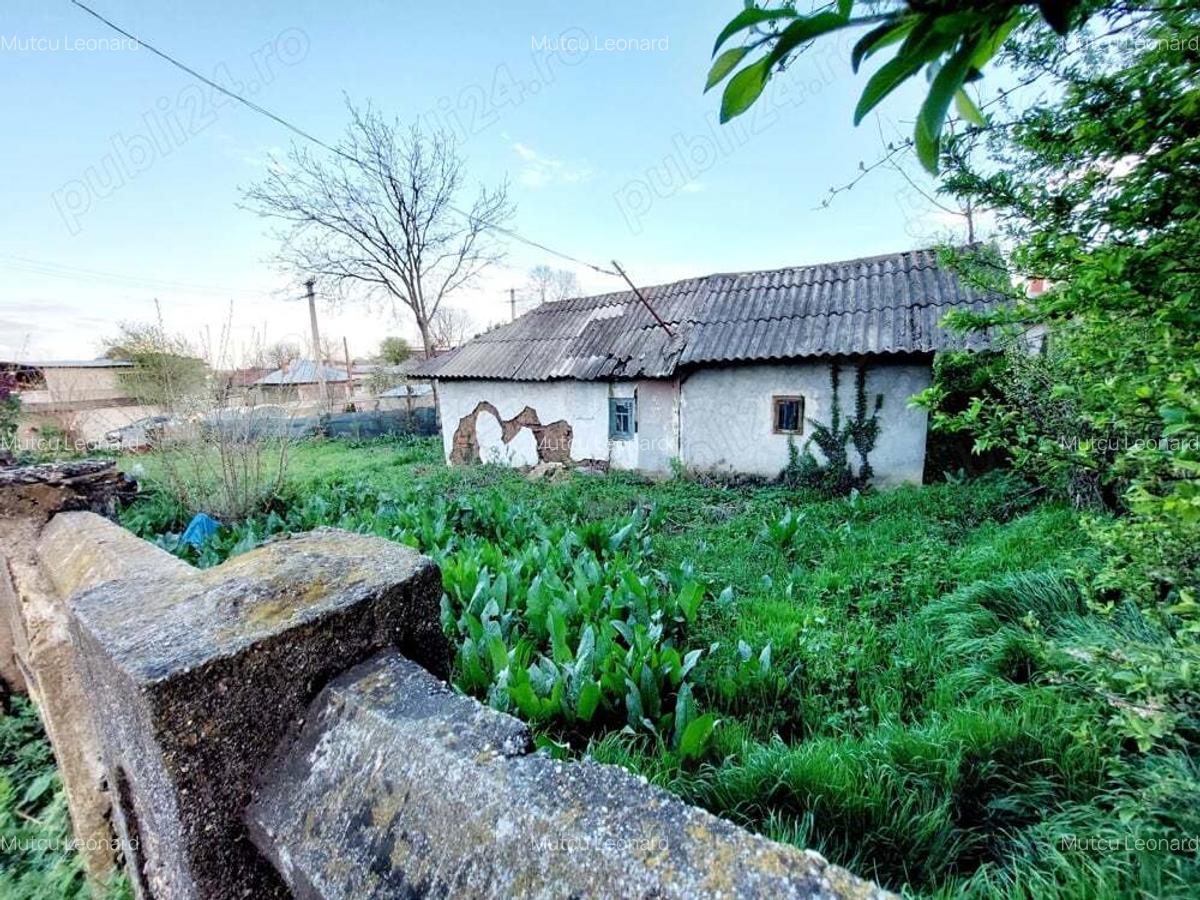 Vand Casa Maldaeni - 5