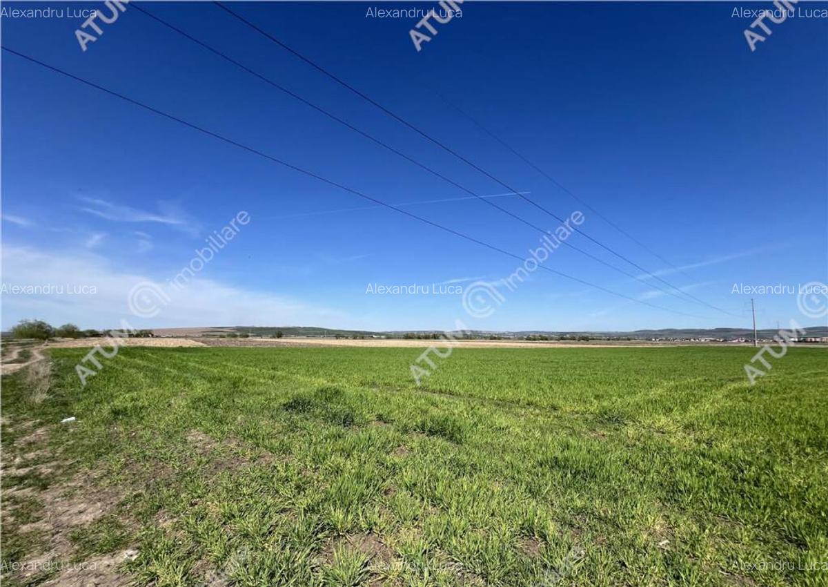 Teren intravilan de 8150 mp situat in Sibiu zona Calea Surii - 3