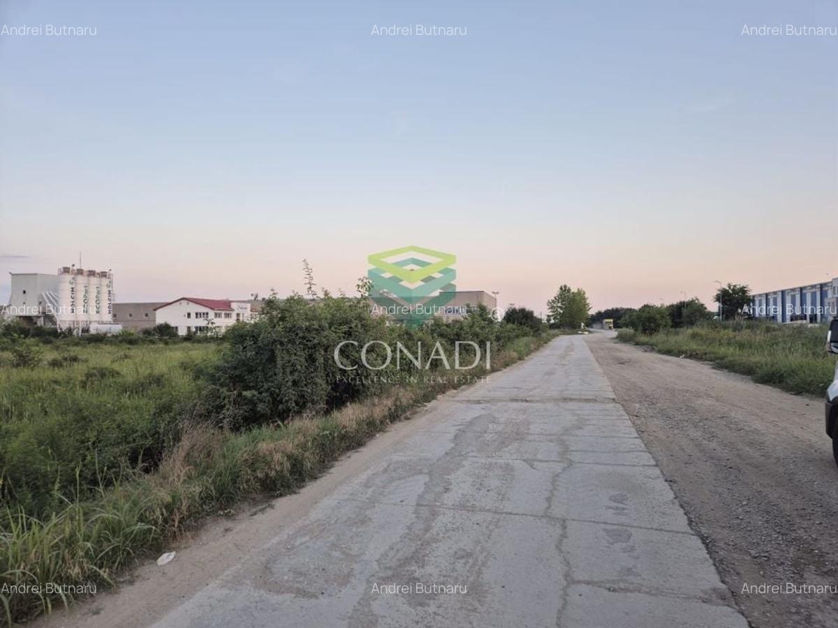 Teren  - pretabil pentru industrial - Centura -  Clinceni - 6