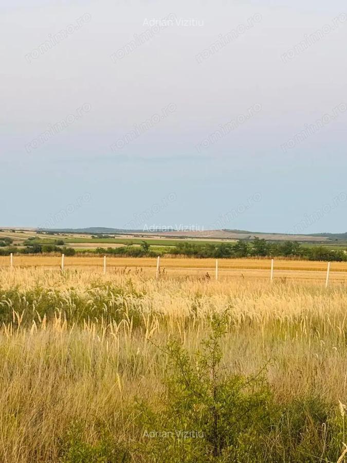 AV655 Teren-Balta 6.666mp, in Masloc-Alios, IDEAL INVESTITIE - 8