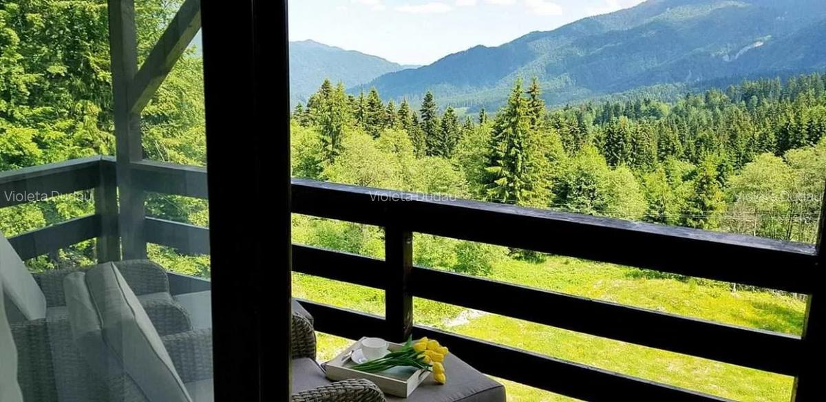 Apartament  cu 2 camere in Predeal - 6