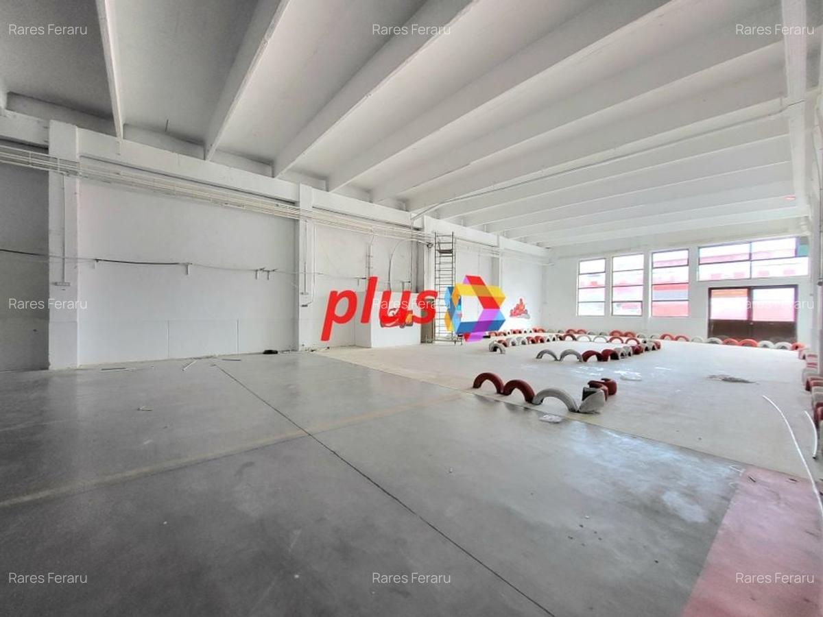 Show room - 600 mp #Plus-imo.ro - 7