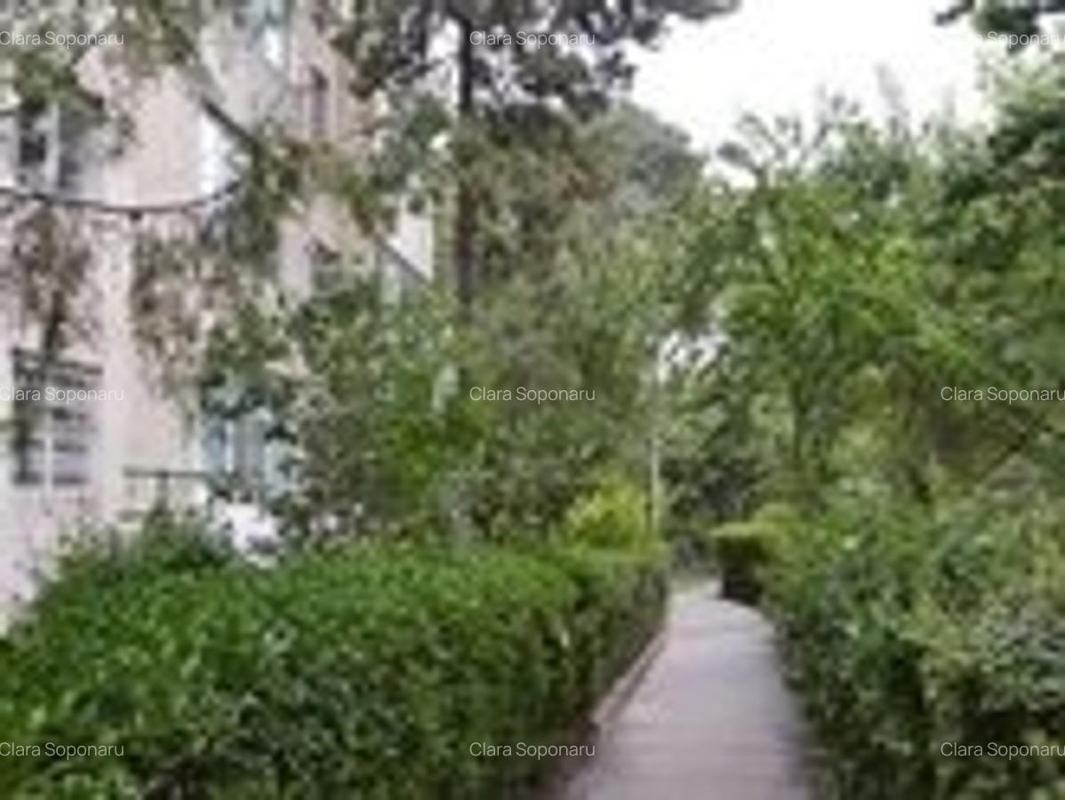 2 camere - Campus - 14