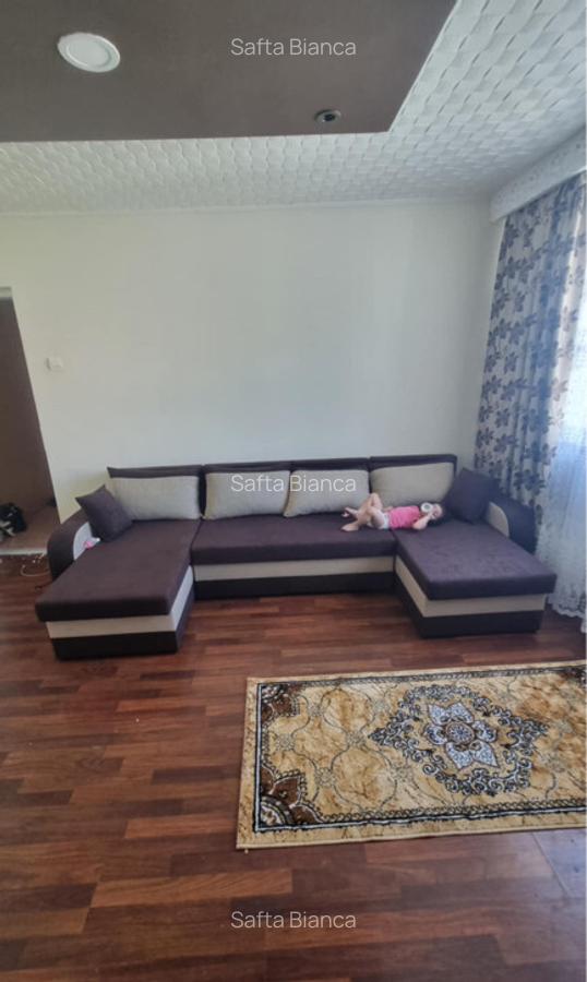 Apartament de vanzare renovat recent - 4