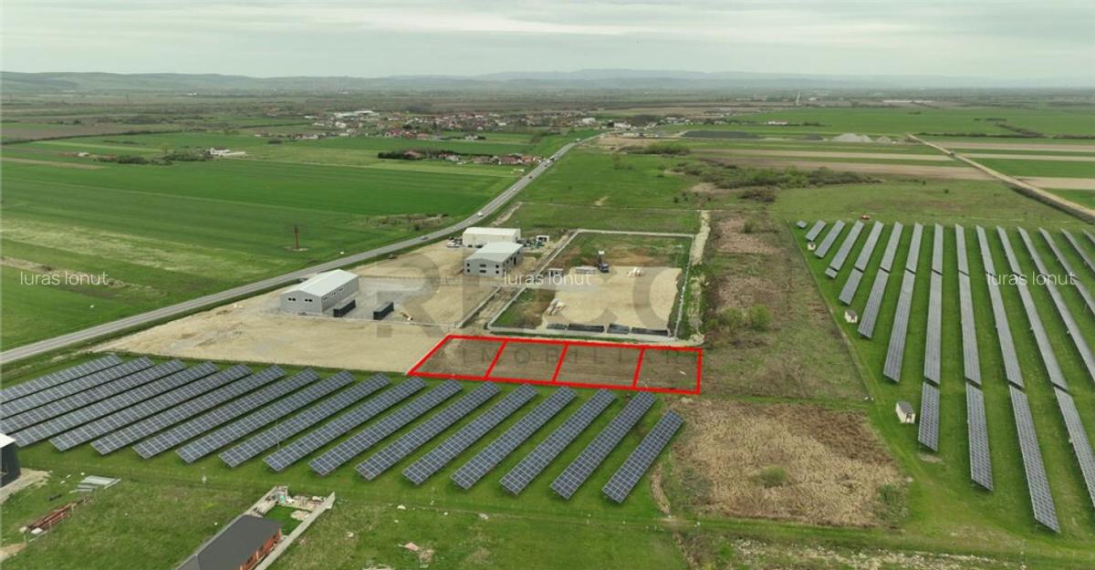 RECO , teren intravilan in Osorhei - 3