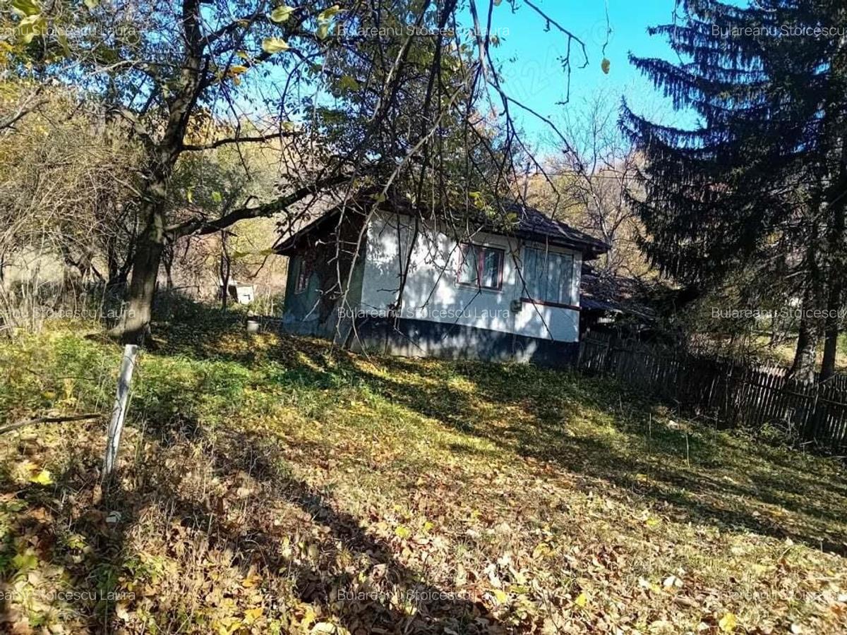 Casa + teren de vacanta Scorteni , Mislea - 6