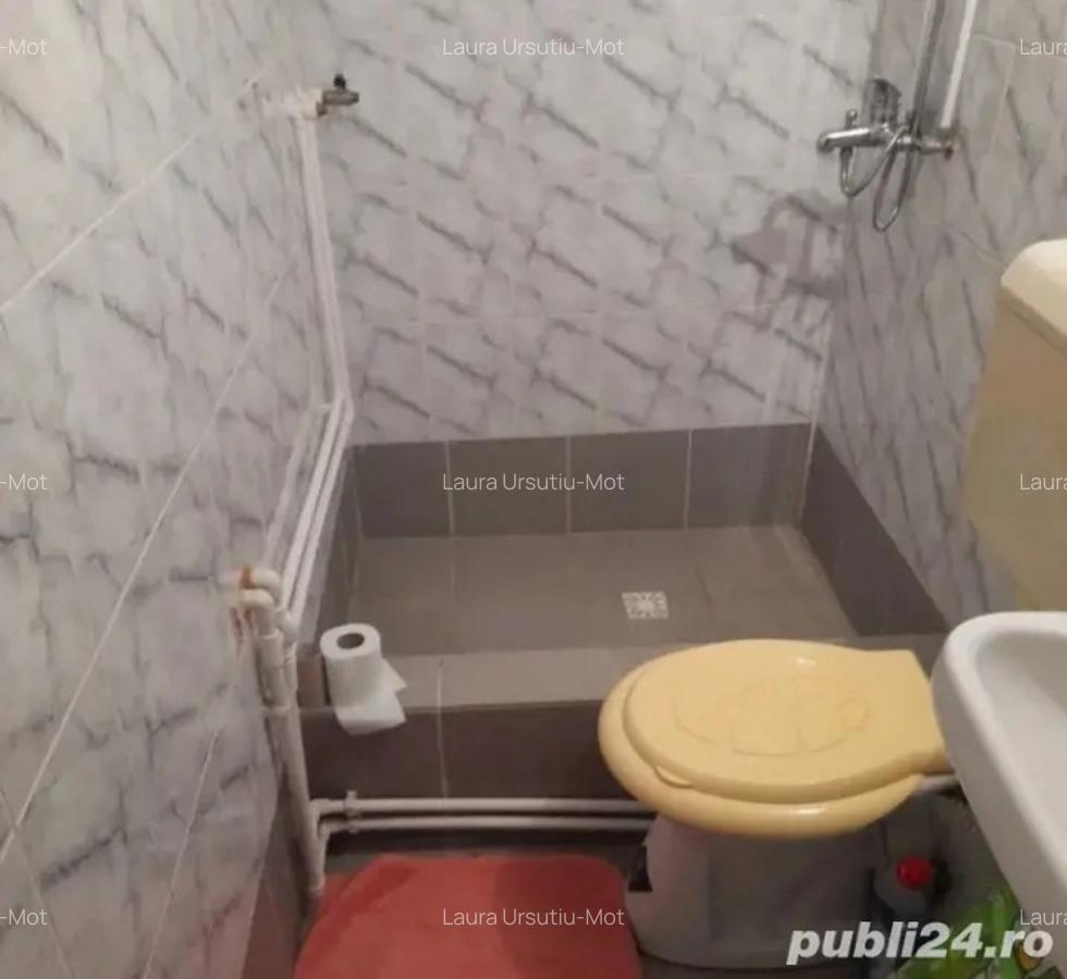 Casa in dealul Viilor Ineu - 5 Casa in dealul Viilor Ineu - 5