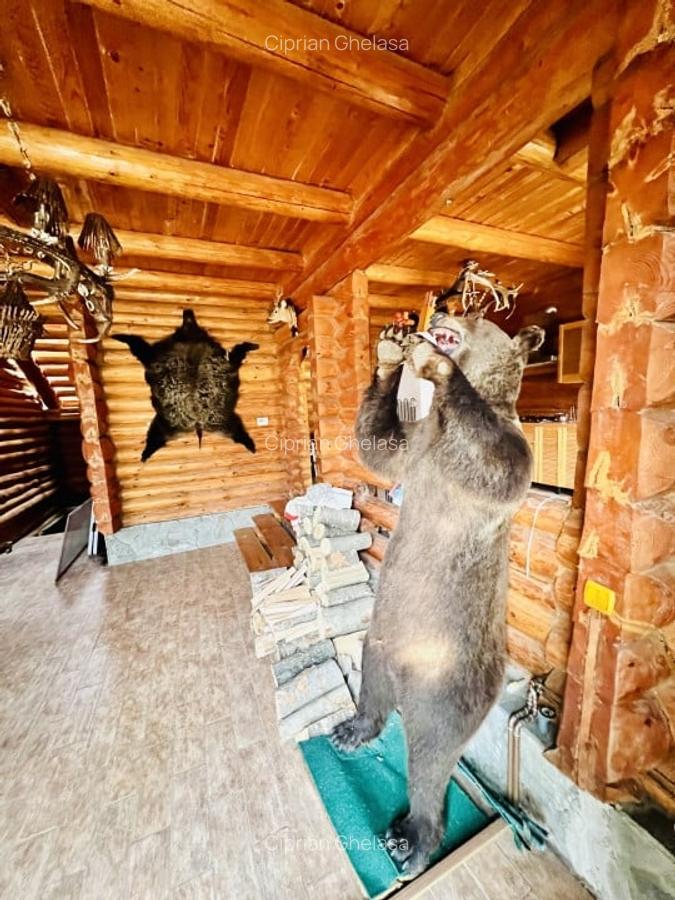 Cabana vanatoreasca din lemn cu vedere spectaculoasa, langa Castelul Cantacuzino - 25