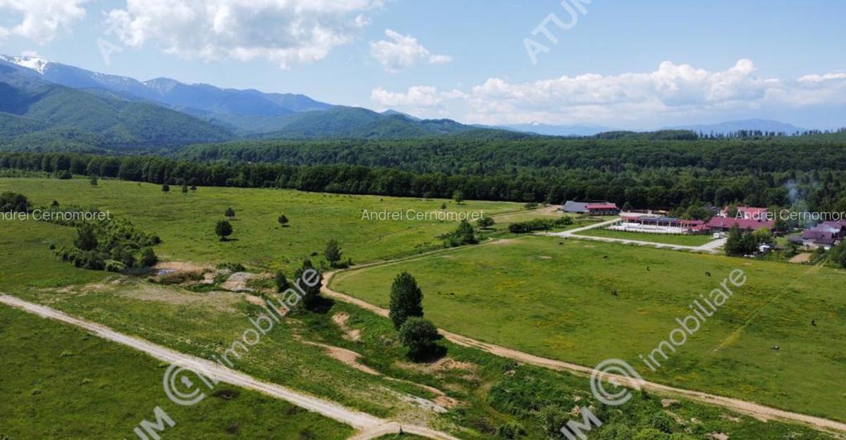 Teren Intravilan 1600 mp in Avrig zona Valea Avrigului - 2