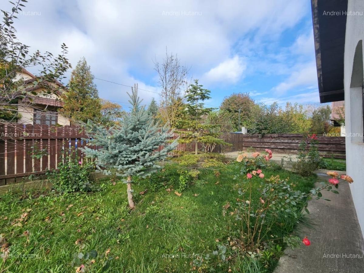 Casa 3 camere, 383mp teren, partial mobilata, utilata. Lunca Cetatuii-Astoria - 14