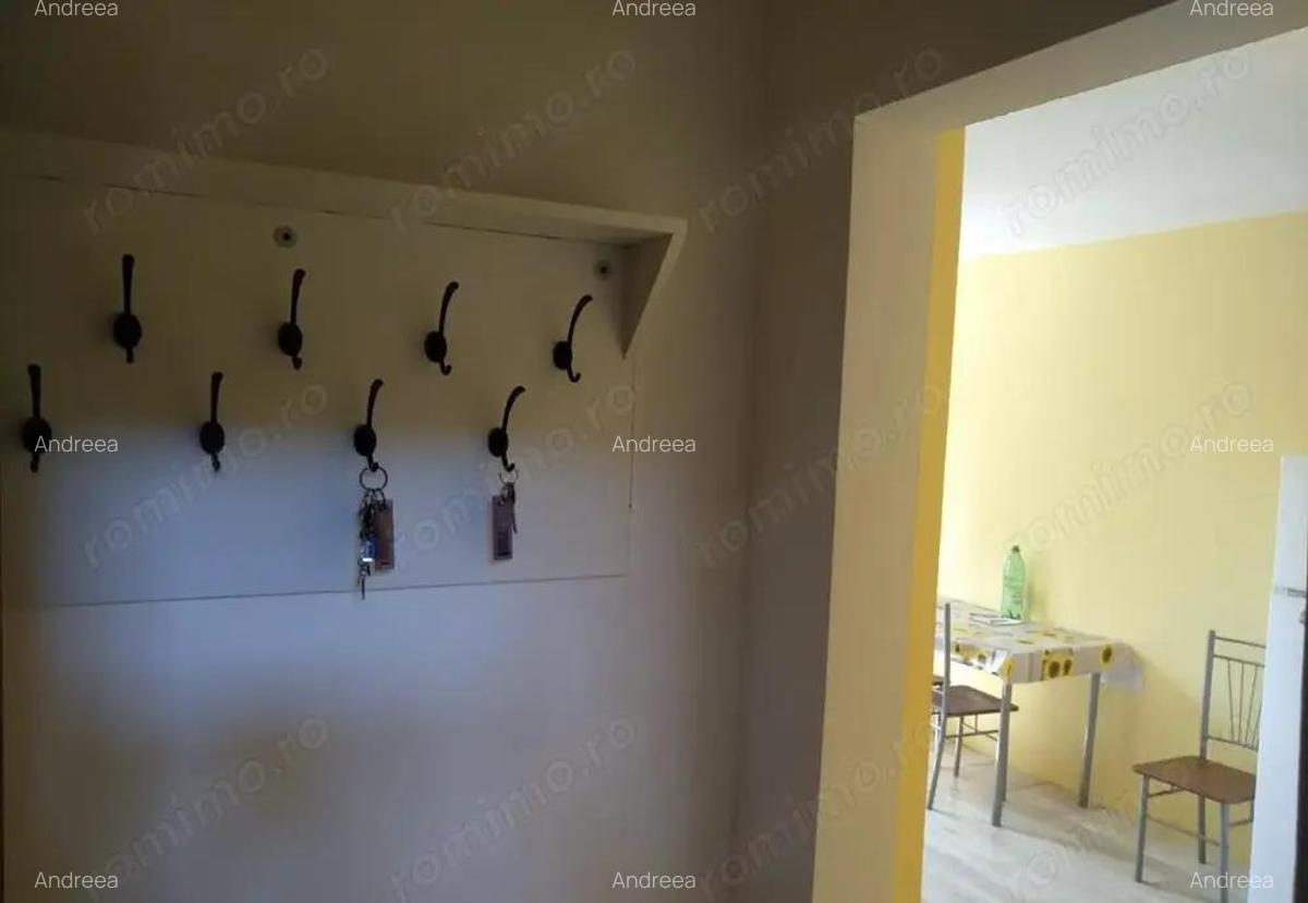 Apartament 2 camere centrala proprie Zona Sagului Ana Ipatescu - 9