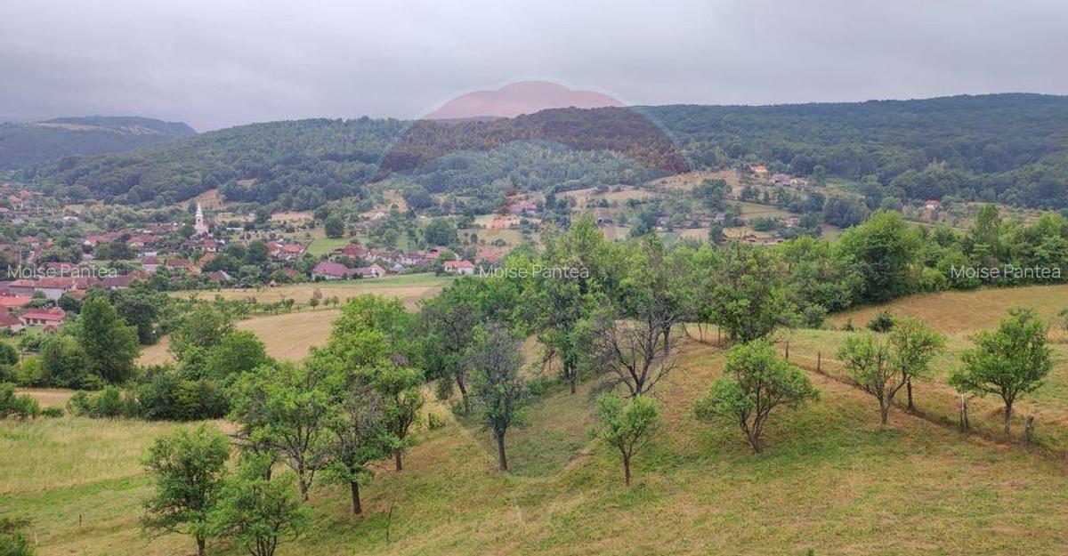 Casa de vacanta cu 6 camere de vanzare Suncuius - 18