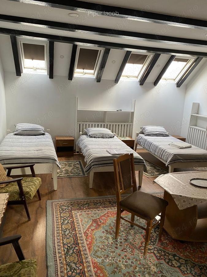 Spatiu de inchiriat - 4