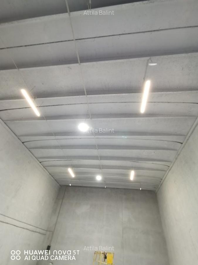 Inchiriez hala 209 mp in Giarmata Mare 5.5 euro/mp + TVA - 11