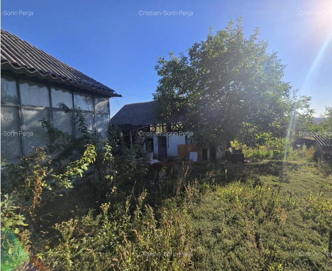 Teren 685 mp + Casa batraneasca, Ștefanesti - Golesti - 7