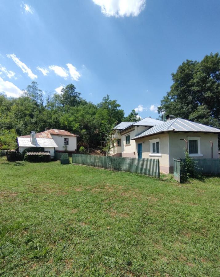 Casa la tara 85mp, Anexe, teren 4098mp, Recea, Sat Deagu de Jos, Arges - 2