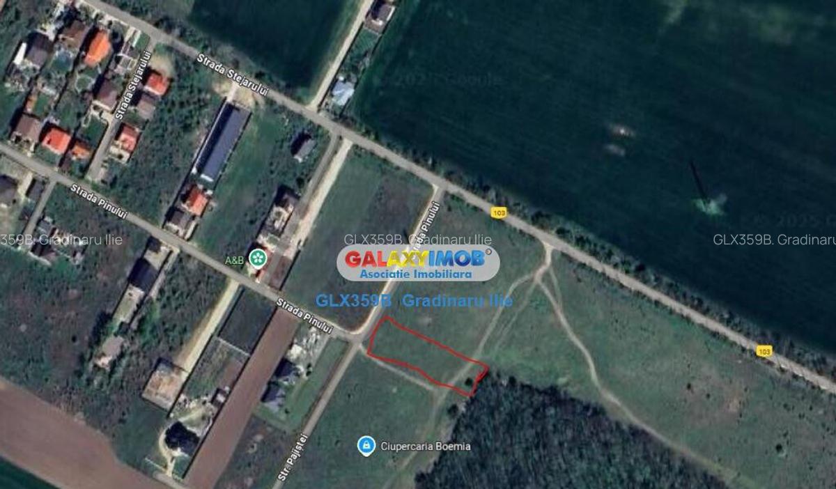 Teren 2000 mp in Magurele Ilfov - 2