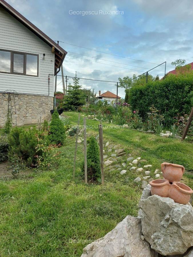 Casa individaual renovata, curte amenjata Boteni de Arges - 19