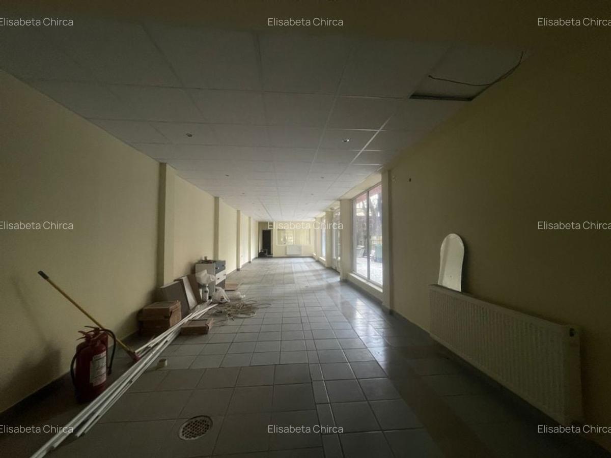 Zona Universitatii sp 150mp open space - 4