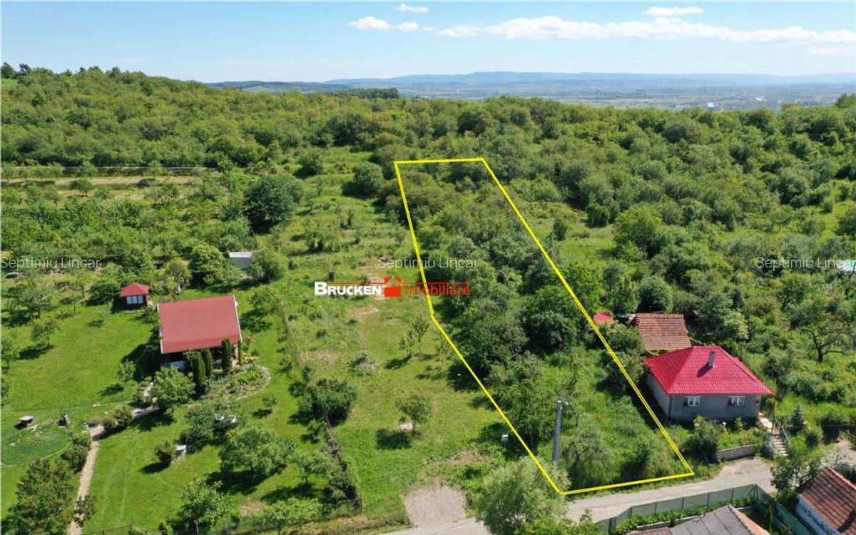 TEREN PENTRU CONSTRUCTIE REZIDENTIALA | 2878 MP | PODGORIA - 2
