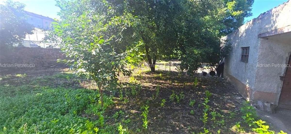 Duplex, personalizabil, cu 1.000 mp teren, Prejmer, Brasov - 11