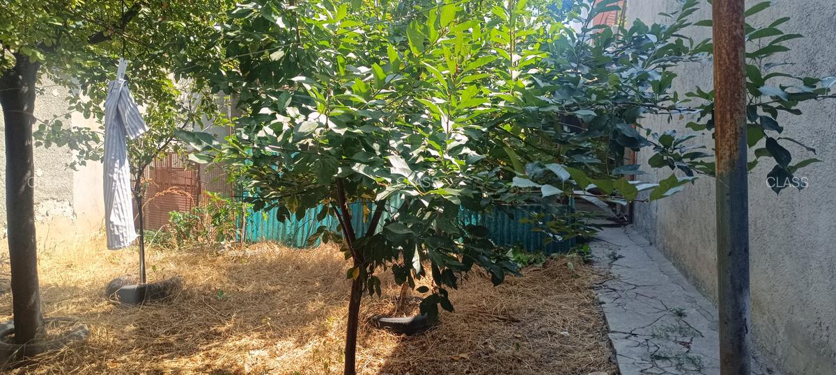 Lumina, teren intravilan între case, toate utilitățile. - 1 Lumina, teren intravilan între case, toate utilitățile. - 1