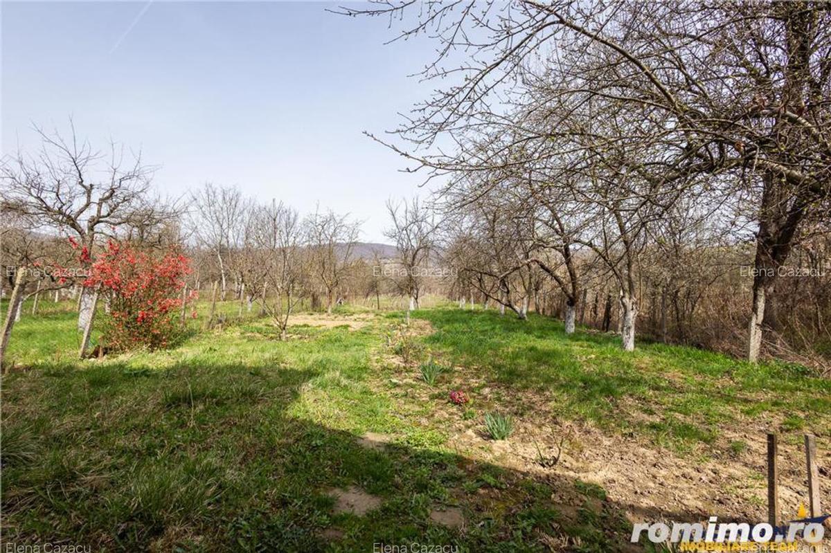 FILM! Casa pe domeniu de 3.117 mp, Viperesti Buzau - 14